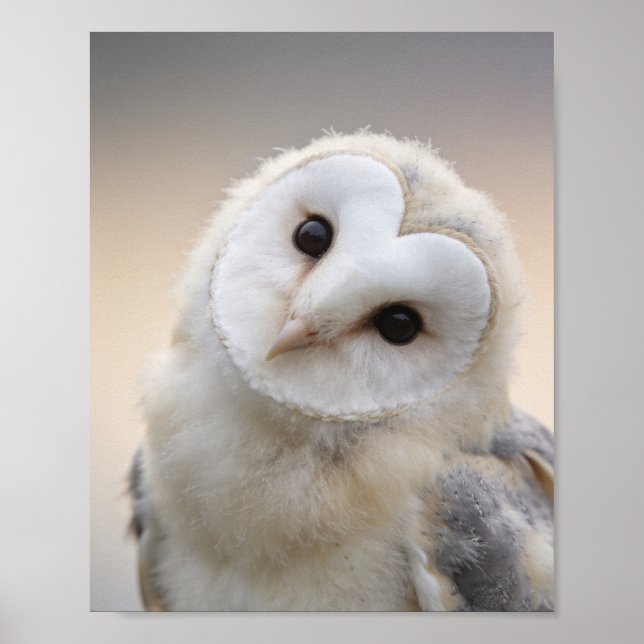 Impression pour la nurserie de bébé Owlet – Art mu (Devant)