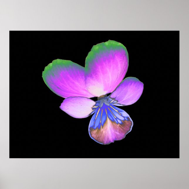 Impression Pretty Pansy (Devant)