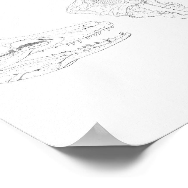 Impression rapide (Coin)