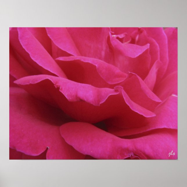 impression rose chaud (Devant)