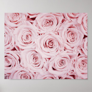 impression rose   fleurs murales