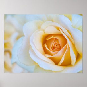 Impression rose, papier d'affiche de valeur (Matte