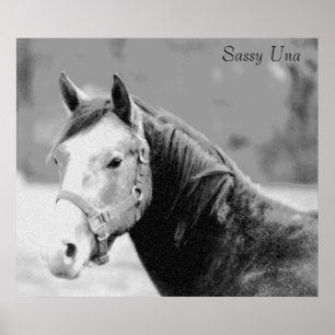 Impression Sassy Una