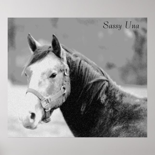 Impression Sassy Una (Devant)