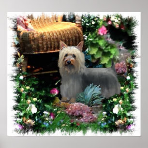 Impression Silky Terrier Art