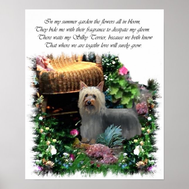Impression Silky Terrier Art (Devant)