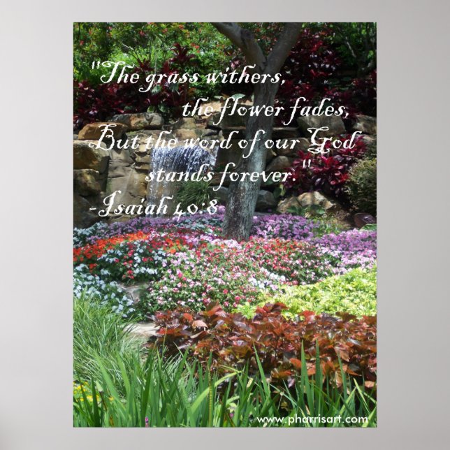 Impression Stable (Devant)