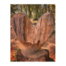 Coeur en bois