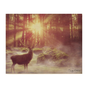 Impression Sur Bois Deer mâle dans Misty Woods au lever du soleil Heur