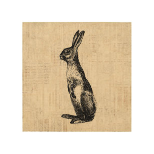 Impression Sur Bois Illustration de lapin Vintage vieux lapin