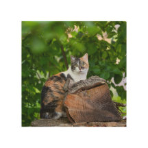 L'Art Mur En Bois De Chat
