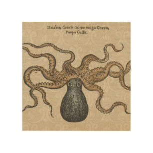Impression Sur Bois Octopus Kraken Illustration Vintage