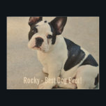 Impression Sur Bois Photo Bulldog personnalisée et nom Bulldog<br><div class="desc">Photo Bulldog personnalisée et le nom de votre Bulldog - ce design comprend une photo téléchargée de votre Bulldog (ou de n'importe quel chien), le nom de votre chien ou ajoutez votre propre texte - Nous aimons le "nom du chien", l'anniversaire du chien ou le jour du passage. Il vous...</div>