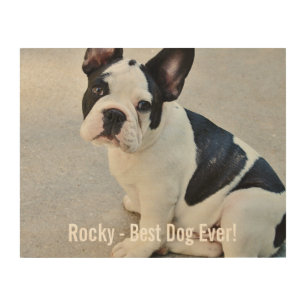 Impression Sur Bois Photo Bulldog personnalisée et nom Bulldog