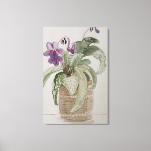 Impression sur toile à l'aquarelle de Primevère du