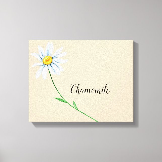 Impression sur toile aquarelle de fleur de camomil (Recto)