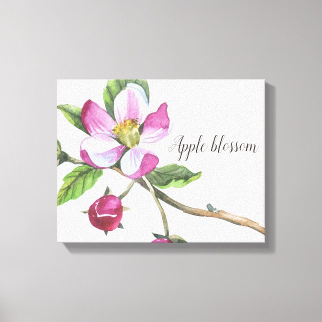 Impression sur toile aquarelle Fleur de pommier (Recto)