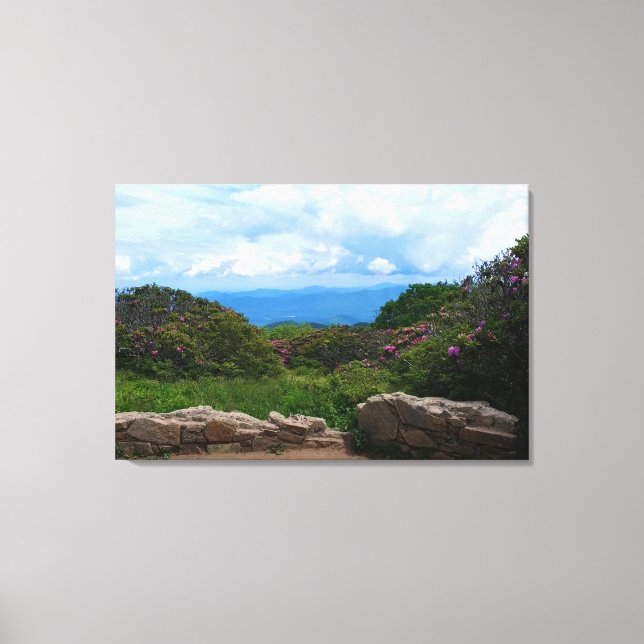 Impression sur toile Blue Ridge Spring (Recto)