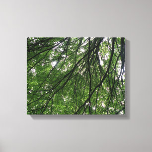 Impression sur toile Branches et Feuilles