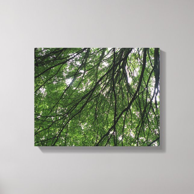 Impression sur toile Branches et Feuilles (Recto)