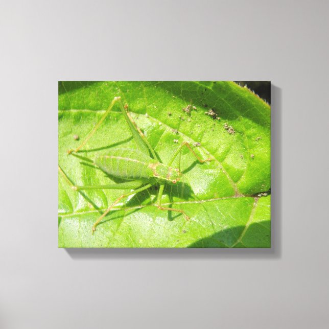 Impression sur toile Camouflage de cricket vert (Recto)