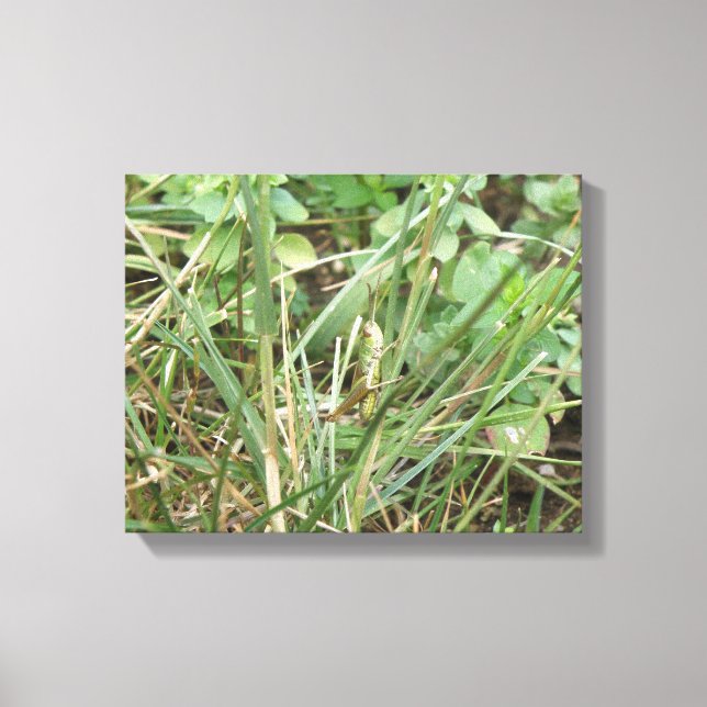Impression sur toile Camouflage de sauterelle (Recto)