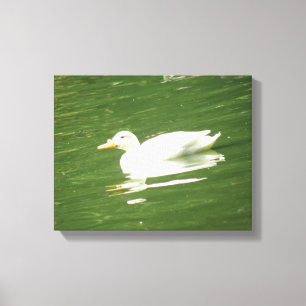 Impression sur toile Canard sur l'eau