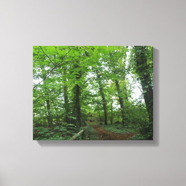 Impression sur toile Chemin à travers la forêt ver (Recto)