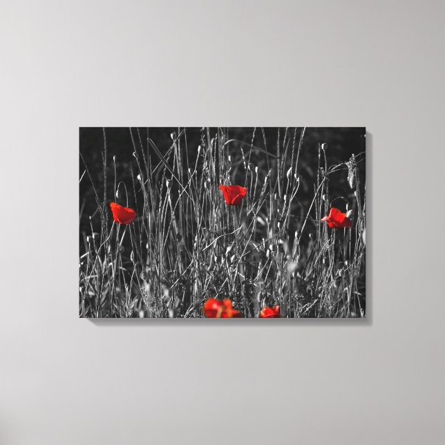 Impression sur toile - Coquelicots de solitude rou (Recto)