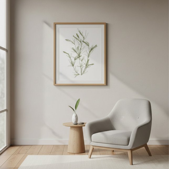 Impression sur toile d'algue marine Chara fragilis (Créateur téléchargé)