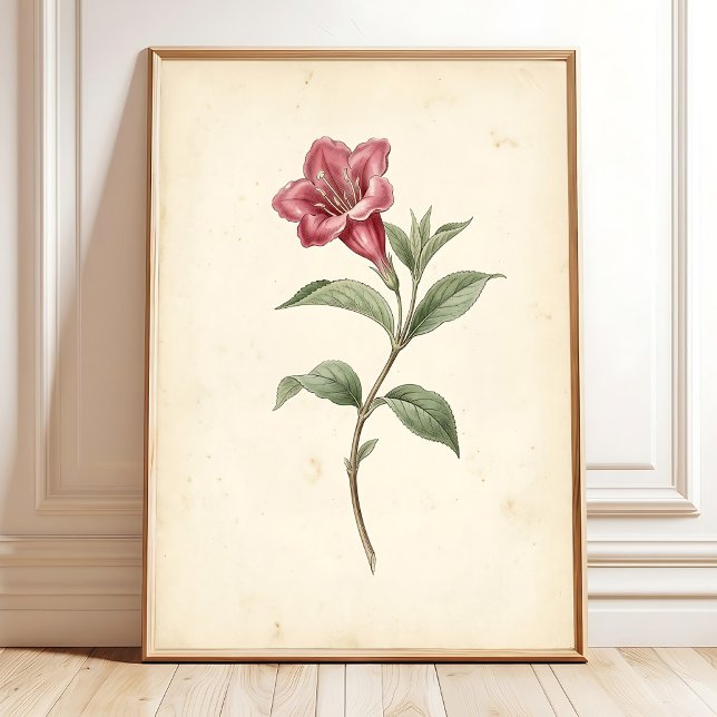 Impression sur toile d'art botanique de Weigela vi (Créateur téléchargé)