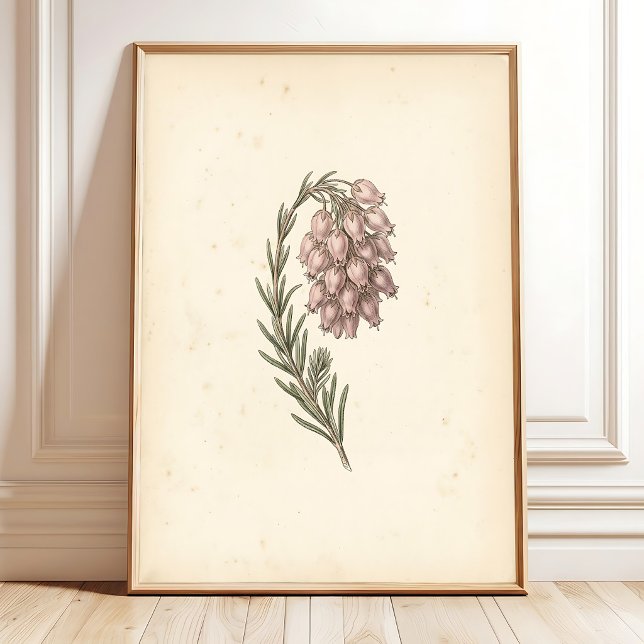 Impression sur toile d'art botanique vintage pour  (Créateur téléchargé)