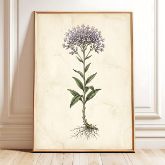 Impression sur toile d'art de ferme botanique vint