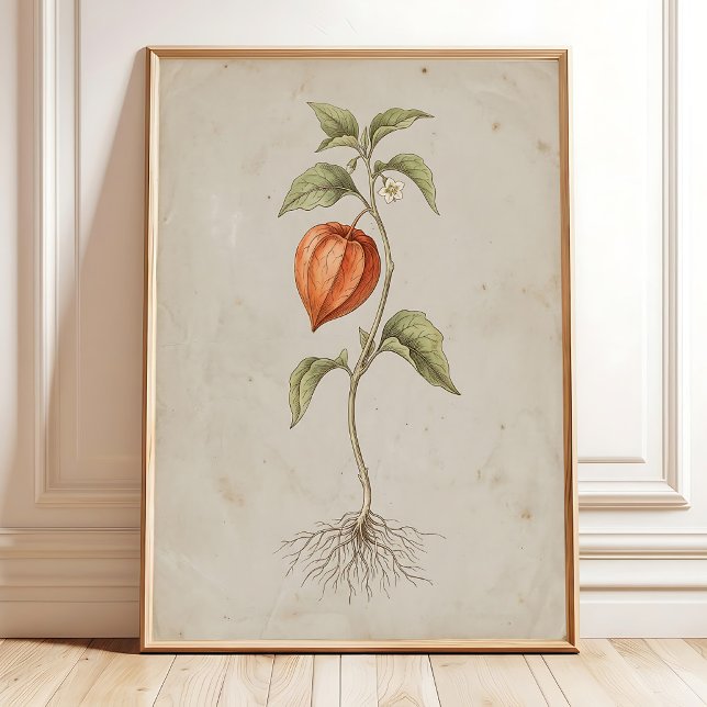 Impression sur toile d'art mural de lanterne chino (Créateur téléchargé)