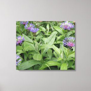 Impression sur toile de Bleuets