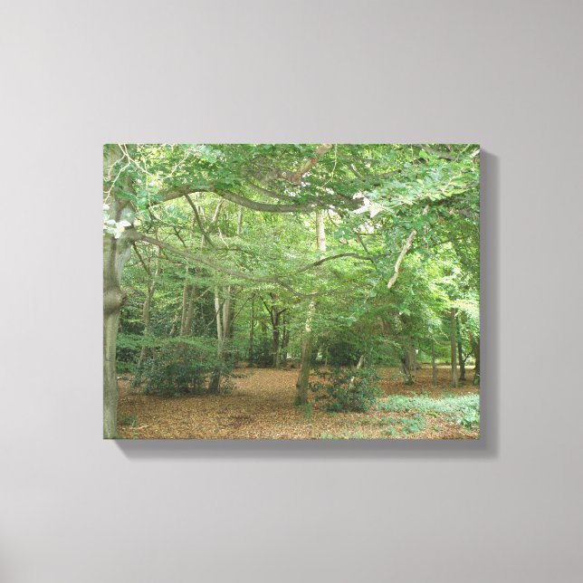 Impression sur toile de Clairière en forêt (Recto)
