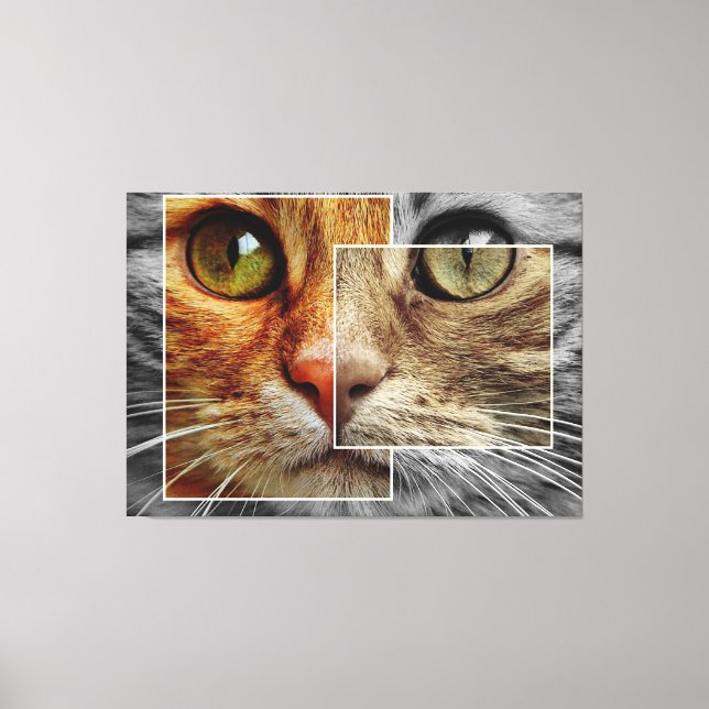 Impression sur toile de collage de visage de chat  (Recto)