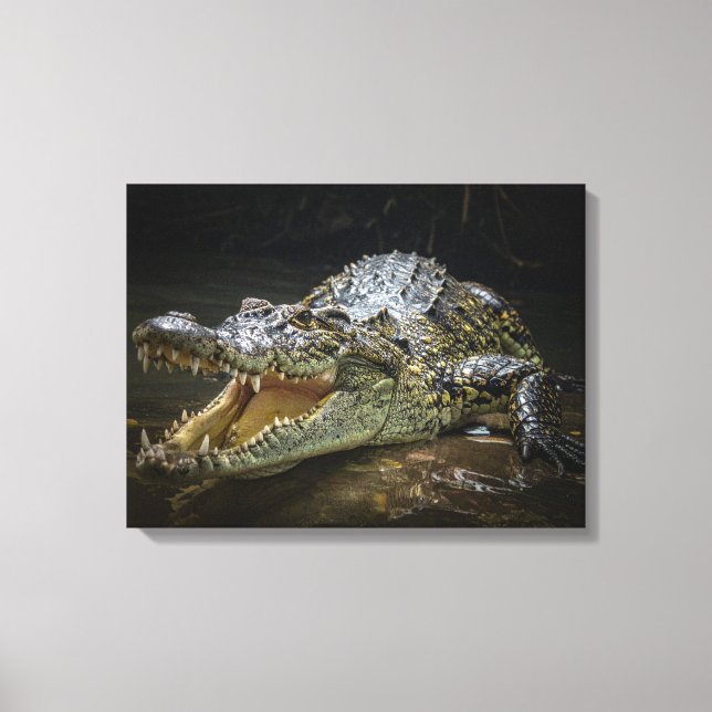 Impression sur toile de crocodile (Recto)