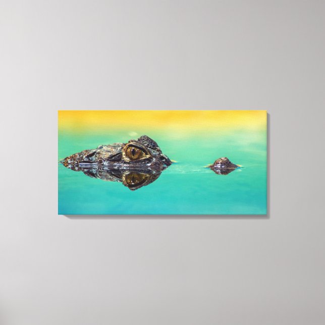 Impression sur toile de crocodile sur une étendue  (Recto)