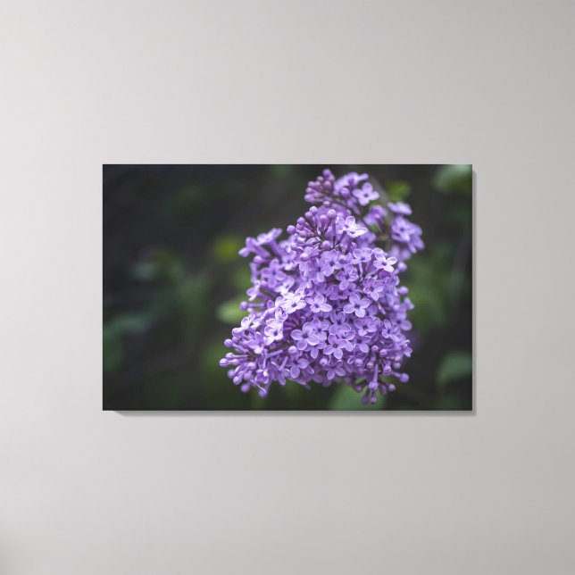 Impression sur toile de fleurs de lilas violet en  (Recto)