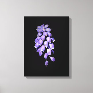 Impression sur toile de jacinthe des vignes floral