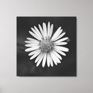 Impression sur toile de la fleur d'Aster de la Sai