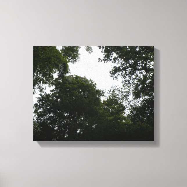Impression sur toile de la forêt inquiétante (Recto)