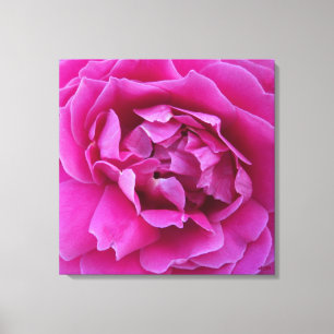 Impression sur toile de la rose convoitée