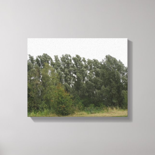 Impression sur toile de paysage de rangée d'arbres (Recto)