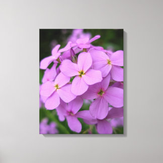 Impression sur toile de photographie de nature