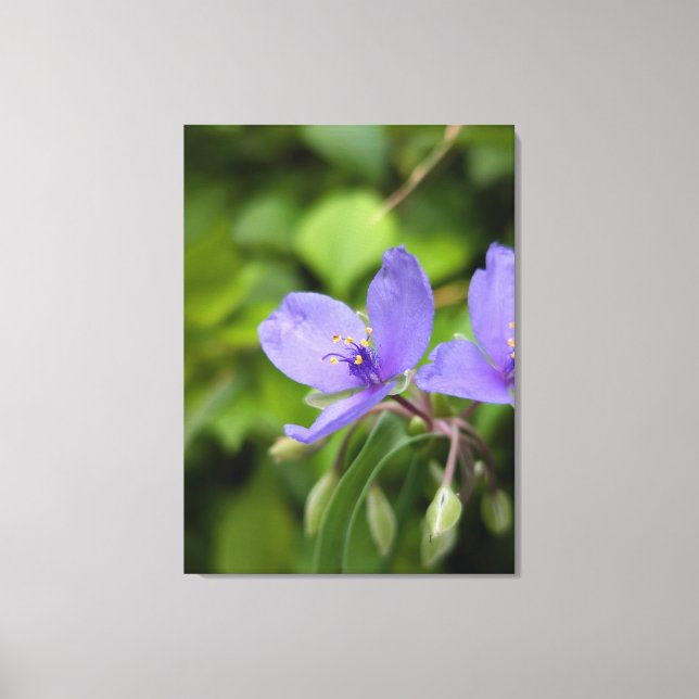 Impression sur toile de photographie de nature (Recto)
