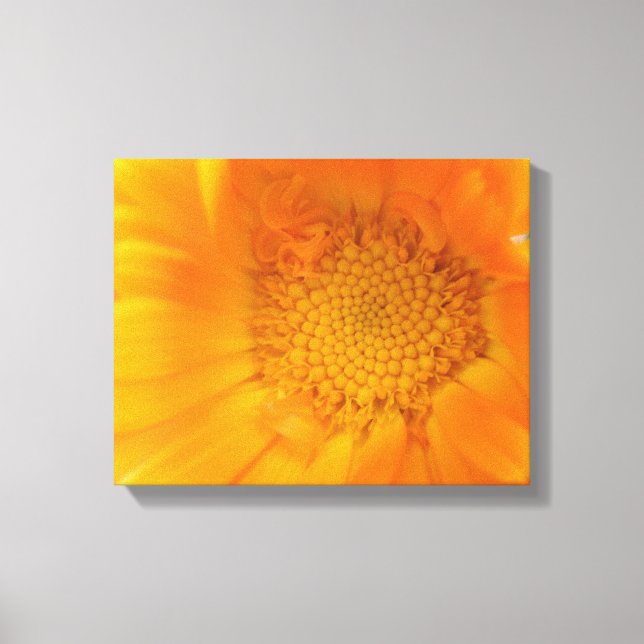 Impression sur toile de souci orange macro (Recto)