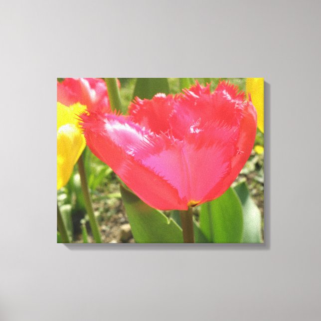 Impression sur toile de Tulipes à franges (Recto)