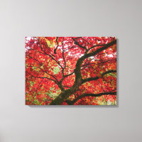 Impression sur toile d'érable japonais